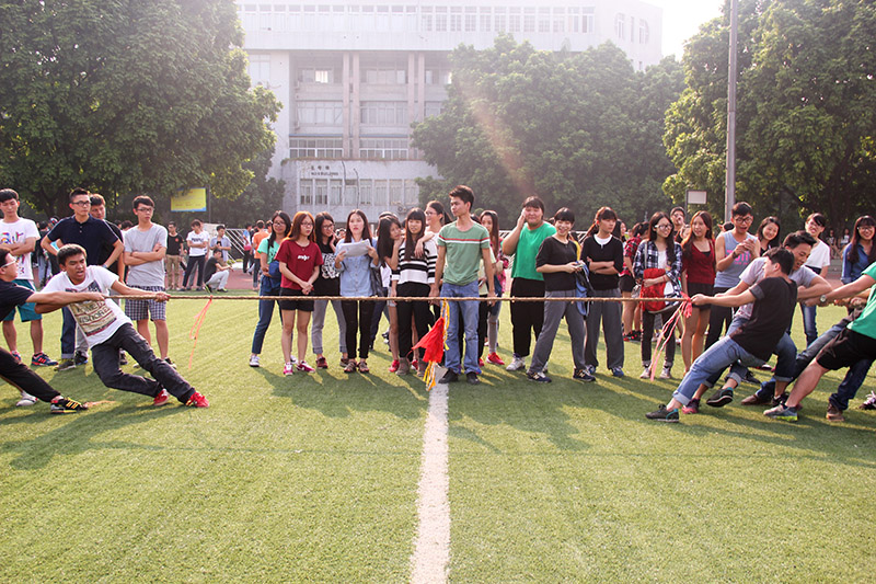 拔河比赛激烈对抗，团队合作凸显