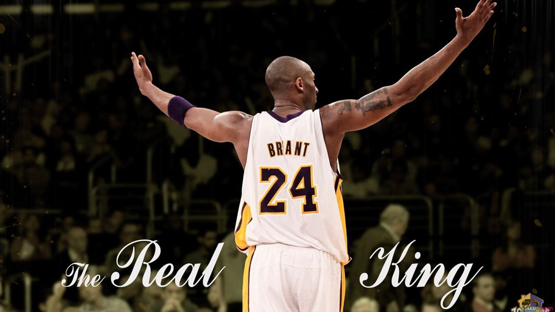 欧冠半决赛之夜，锡安关键节点连续得分