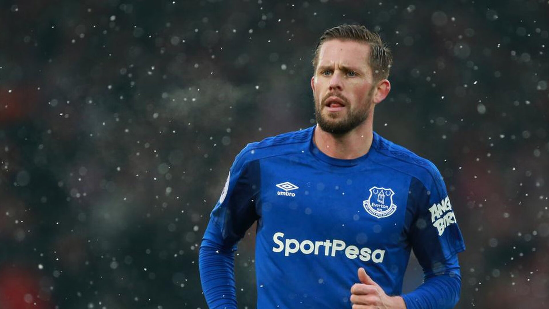 DB电竞直播平台入口-2026世界杯焦点战，爱尔兰如何以战术革新制霸瑞典